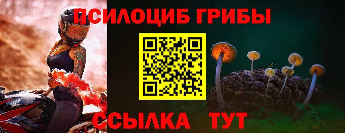 Галлюциногенные грибы MAGIC MUSHROOMS  Псилоцибиновые грибы прущие грибы  Альметьевск  Вход с VPN 
