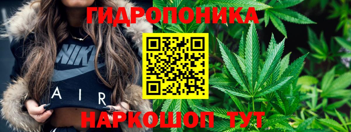 Марихуана планчик  Вход с VPN  Каннабис планчик  Бошки марихуана ГИДРОПОН  Альметьевск  Марихуана MAZAR 